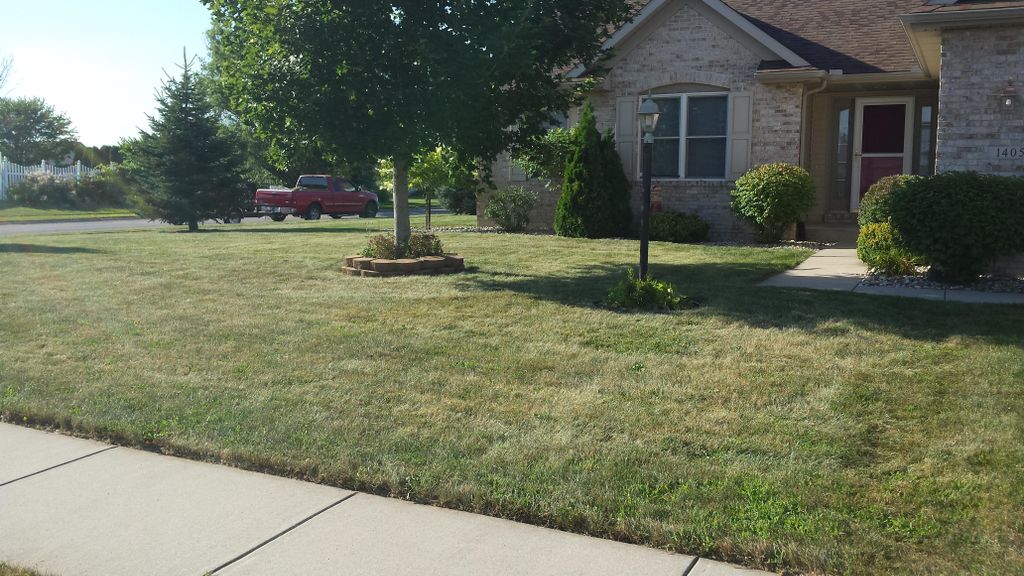 Cleaned and Trimmed!  Now for fertilizer and turf 