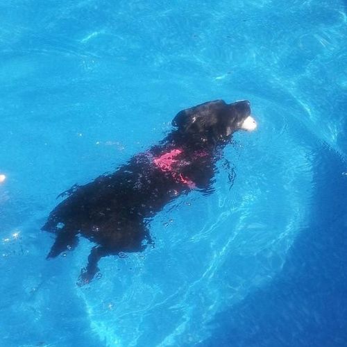 Hailey loves to swim