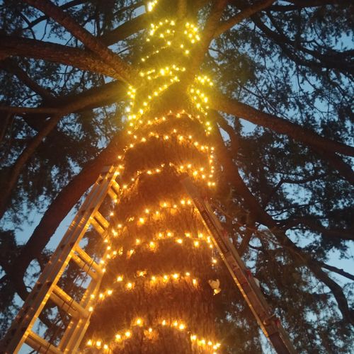Light holiday decorations tree