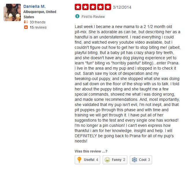 The Glitter Groomer, Sarah Lester, Review... VIEW 