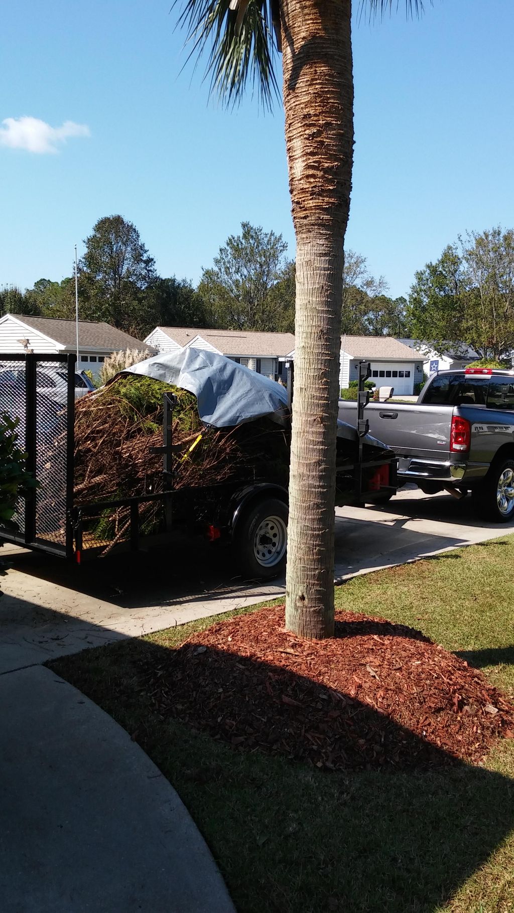 tree triming and hauling