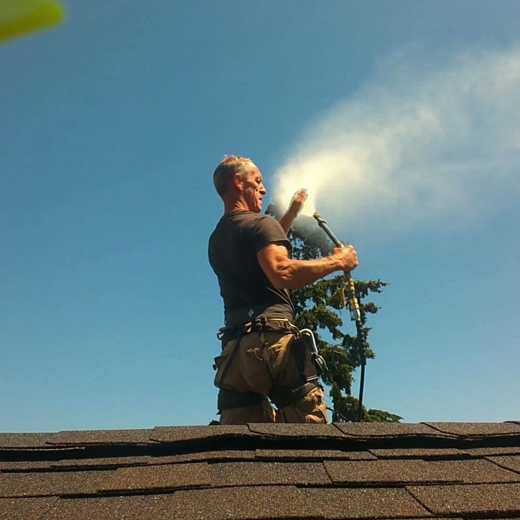 Ospray Roof Cleaning