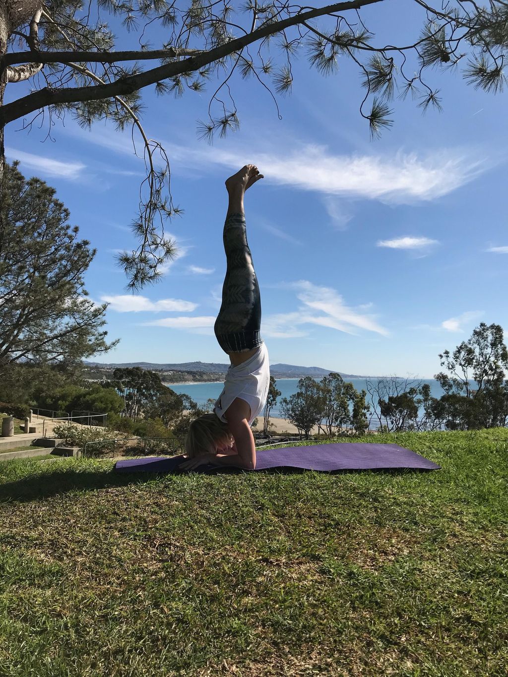 Pincha mayurasana