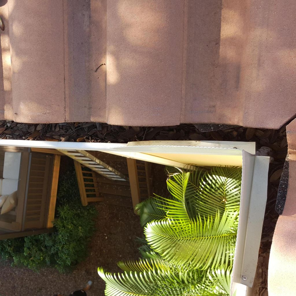 Tampa Gutter Cleaning & S.A.P Roof Repairs