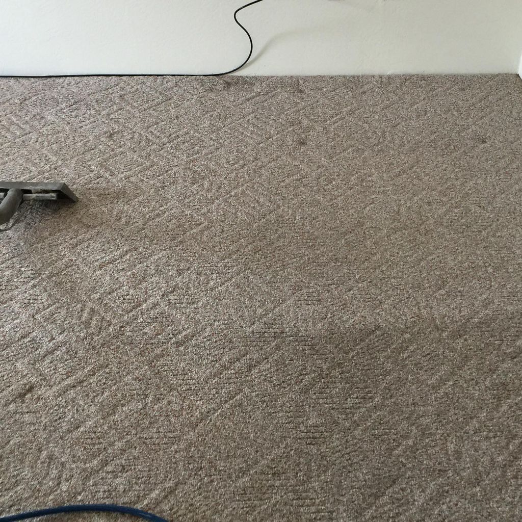 Steam Smart Pro - Carpet Cleaning