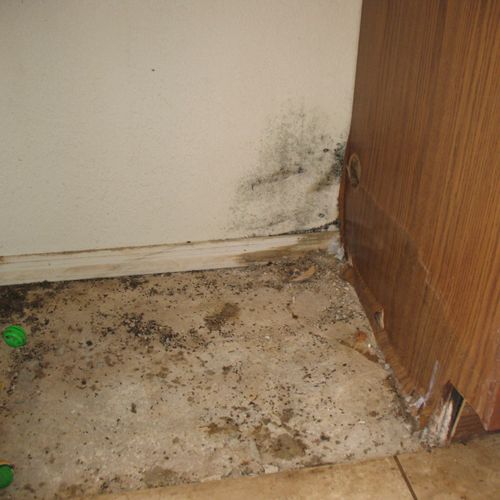 cabinet damage/mold