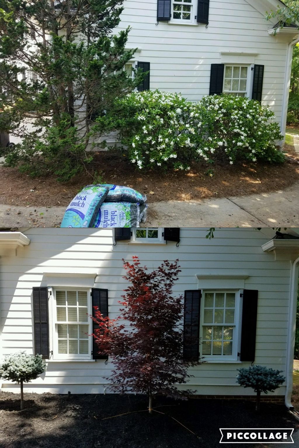 out with old , in with the new!