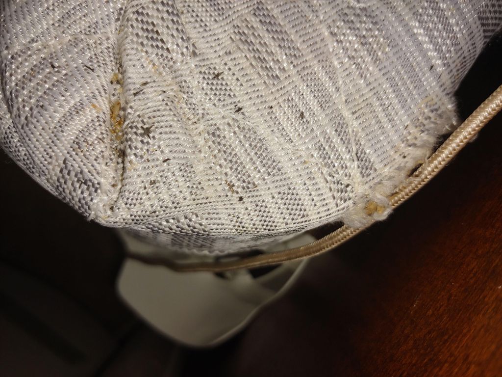 skin casts from bed bugs