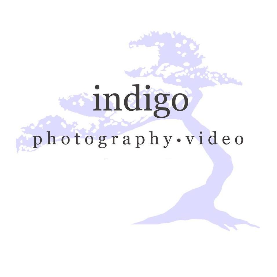 Indigo Photography and Video