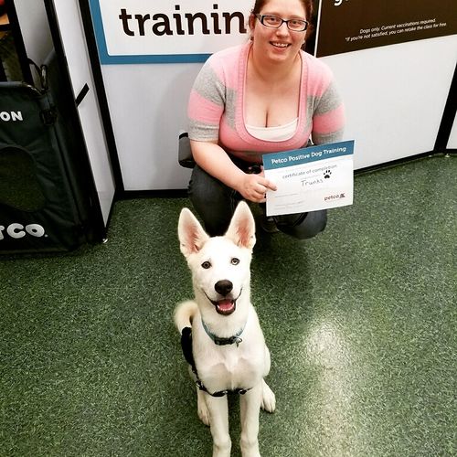 trunks also an SDIT graduating obedience class