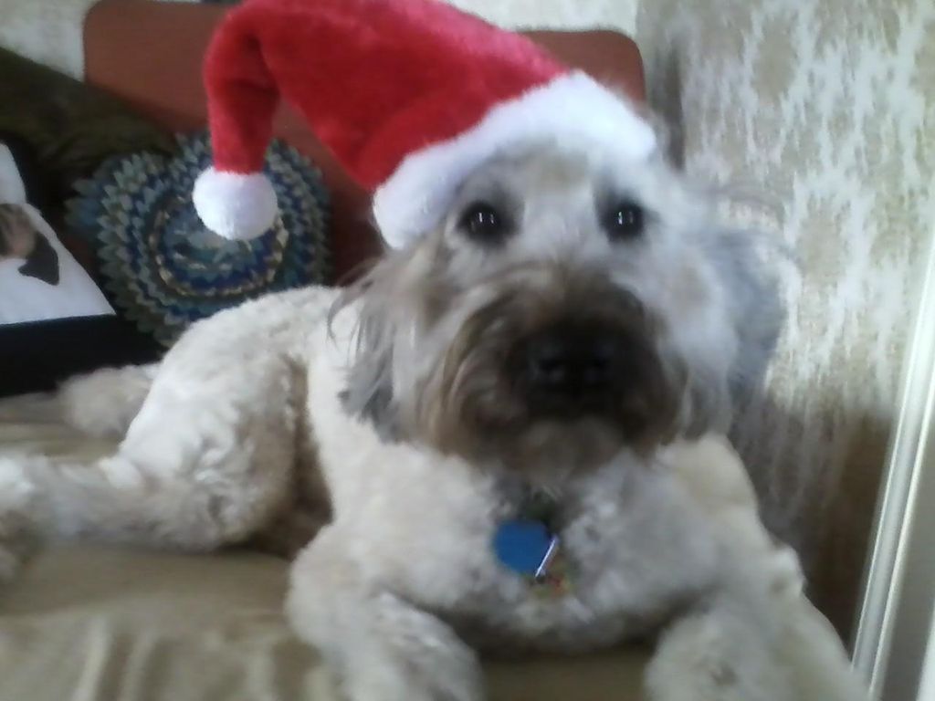 Santa