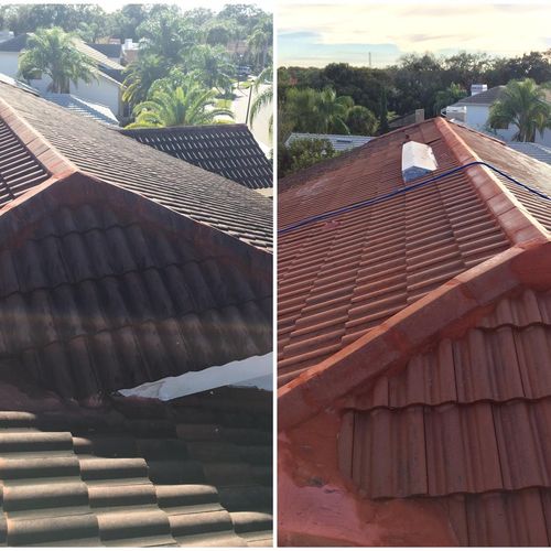 Before and after 2 story Roof soft wash