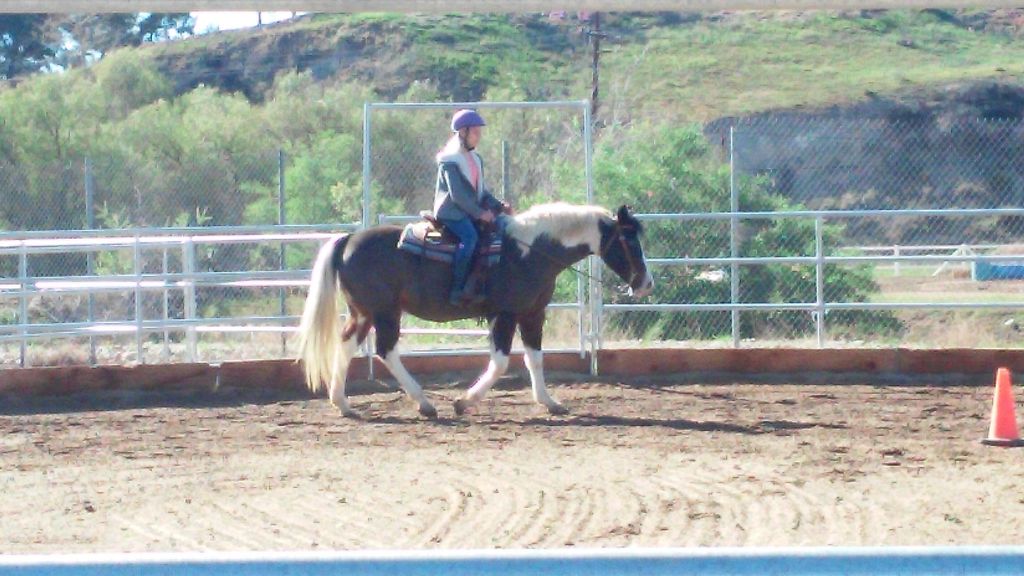 western beginner lessons