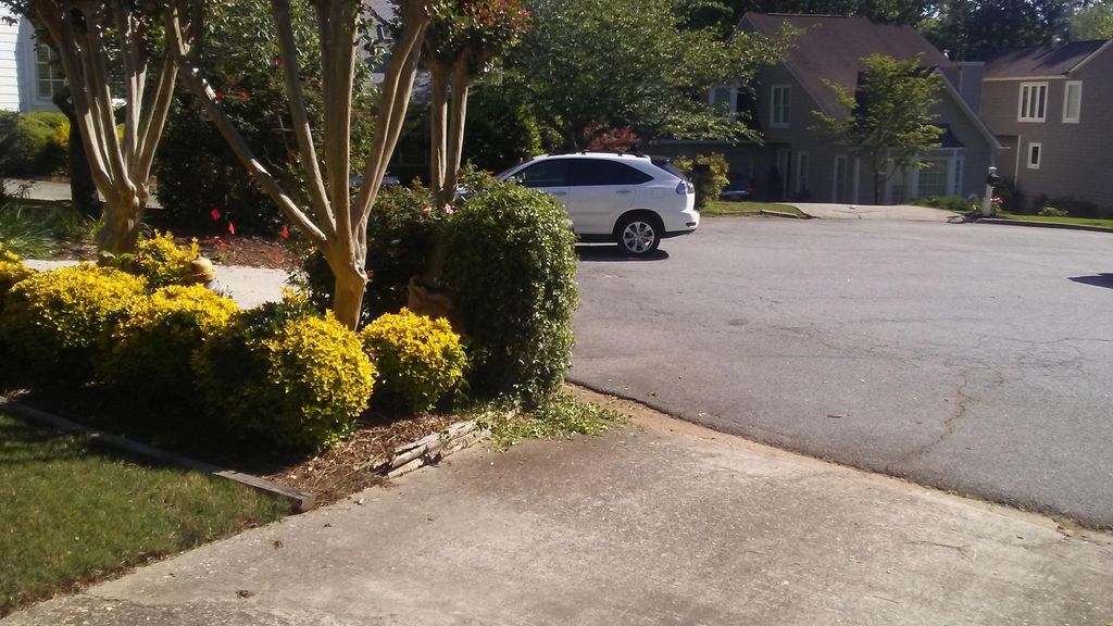 jasmine vine above mail box shaped professionally 