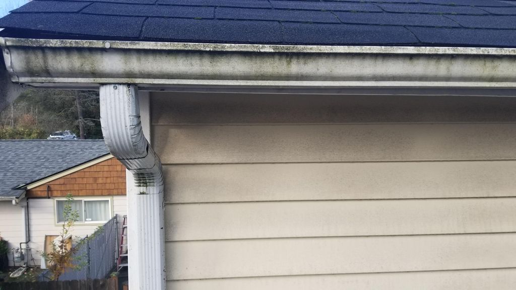gutter outer cleaning (before)
