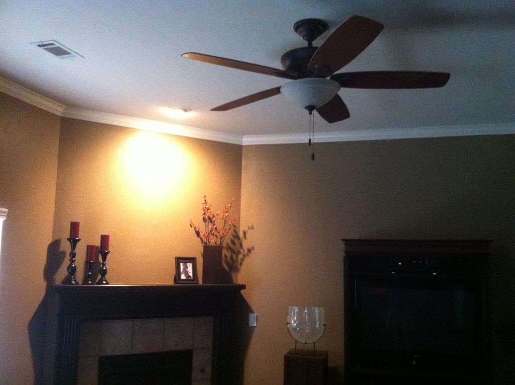 Ceiling Fan and Lighting Installation