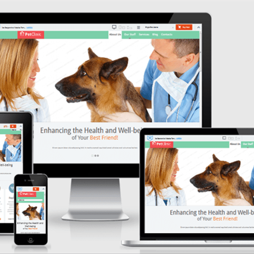 Veterinarian Responsive Website Design