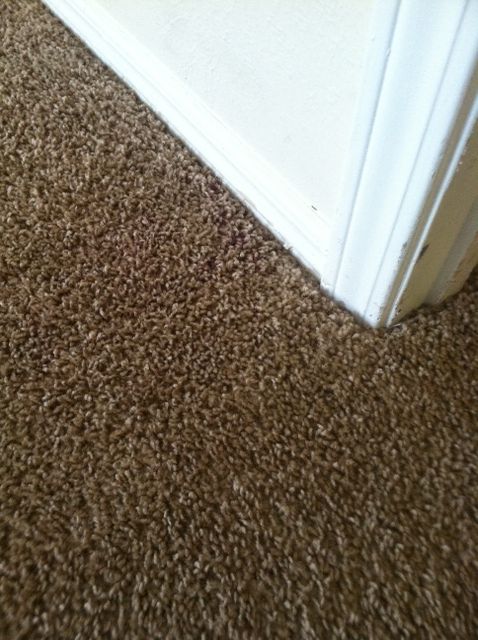 After photo of big purple stain removed.