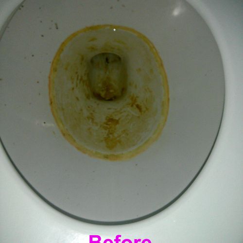 Before Toilet
