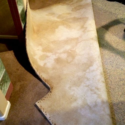 Dog Urine Stains on the carpet backing.