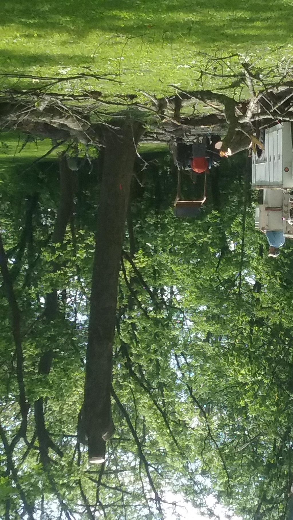 Berrys Lawn Care and tree trimming and removal ...