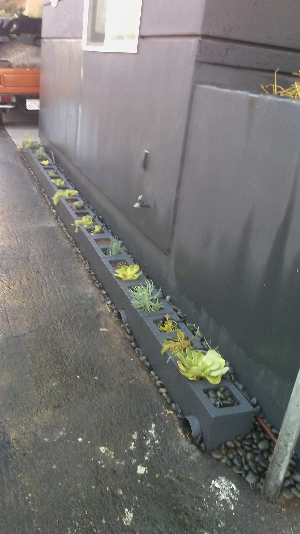 flower bed in Manhattan Beach