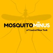 Mosquito Minus of CNY