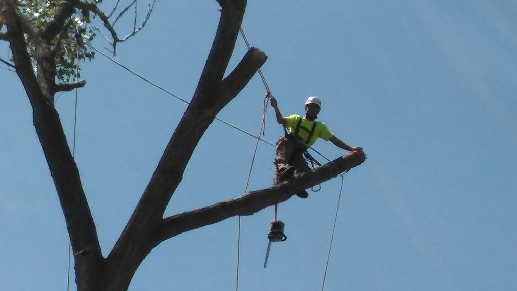 Safe rigging is an essential part of the job, a sk