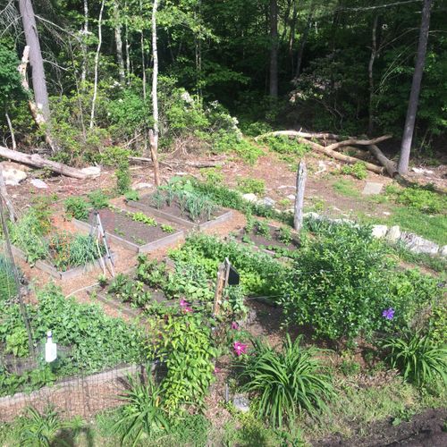 local hemlock beds with organic compost and loam m