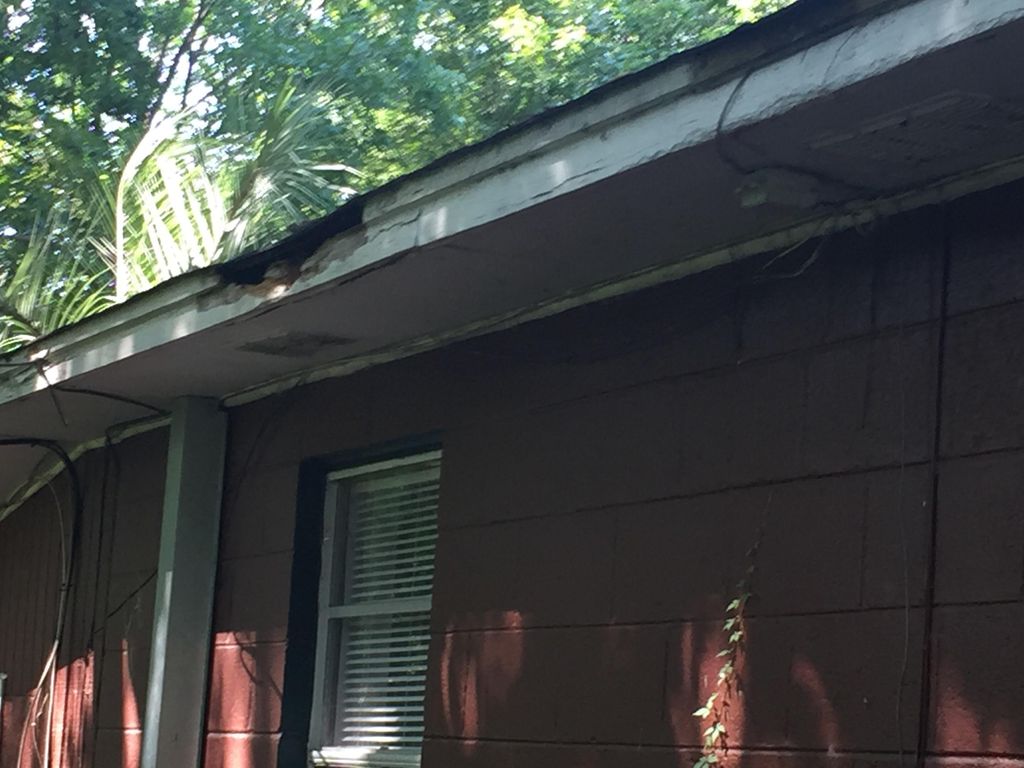 Facia damage by squirrel 