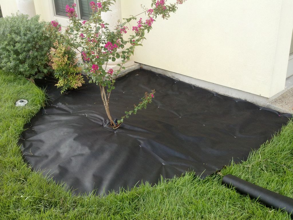 Laid down weed block.