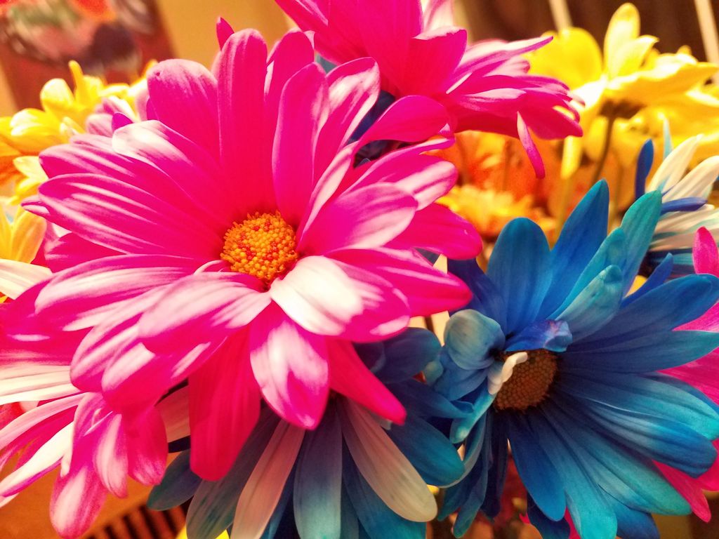 Artman Landscape Maintenance