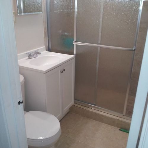 New toilet, shower door and vanity