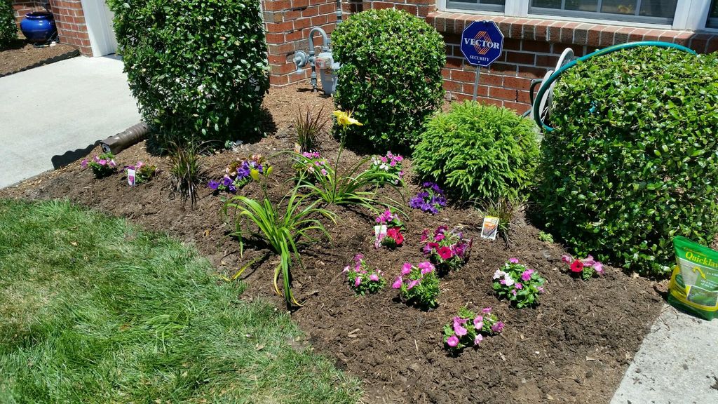 Reddick and Sons Landscape