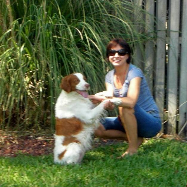 Happy tails petsitting