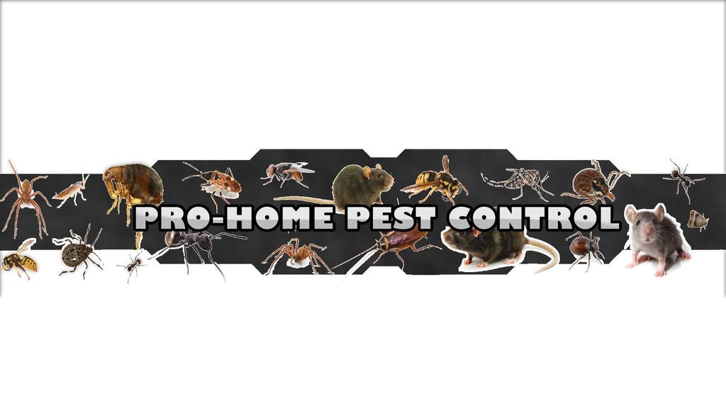 Pro-Home Pest Control