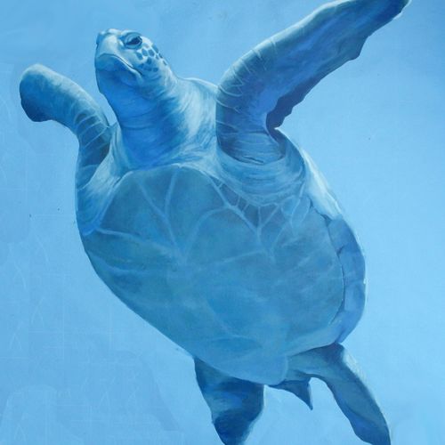 A realistic sea turtle I painted for an ocean bath
