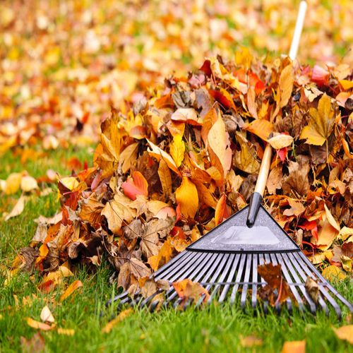 -Raking up leaves and composting them
-Removing me