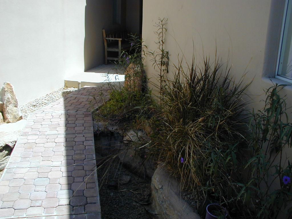 Jeff's Courtyard before