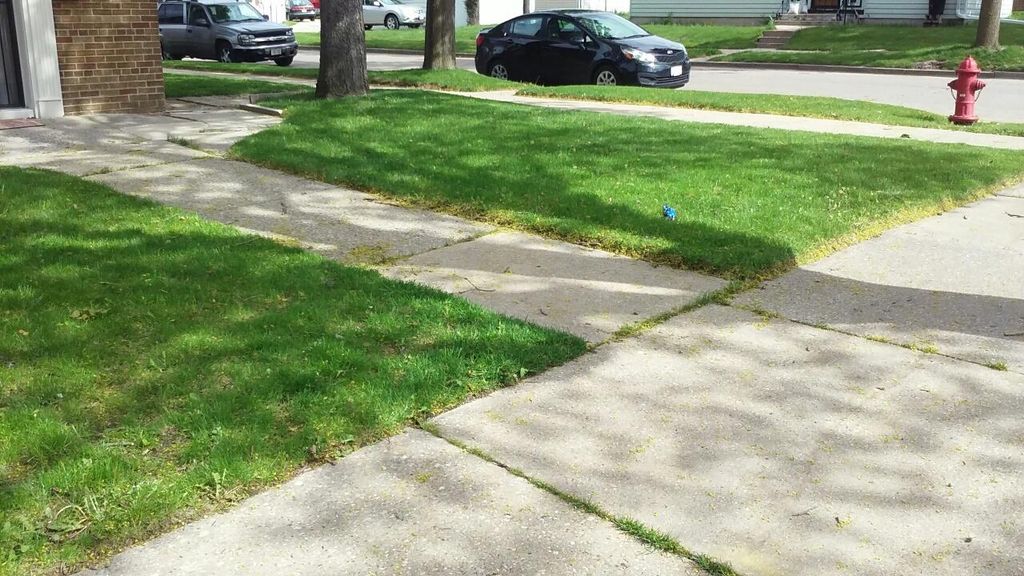 Front side Lawn (After)
