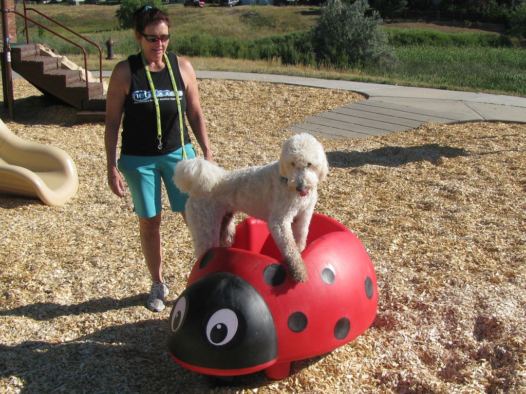 Workout with your dog