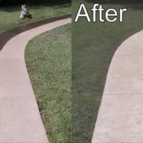 Driveway and Sidewalk Cleaning - Before & After