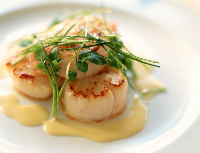 Pan Seared Diver Scallpos