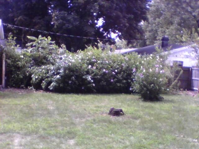 Before we got at it,