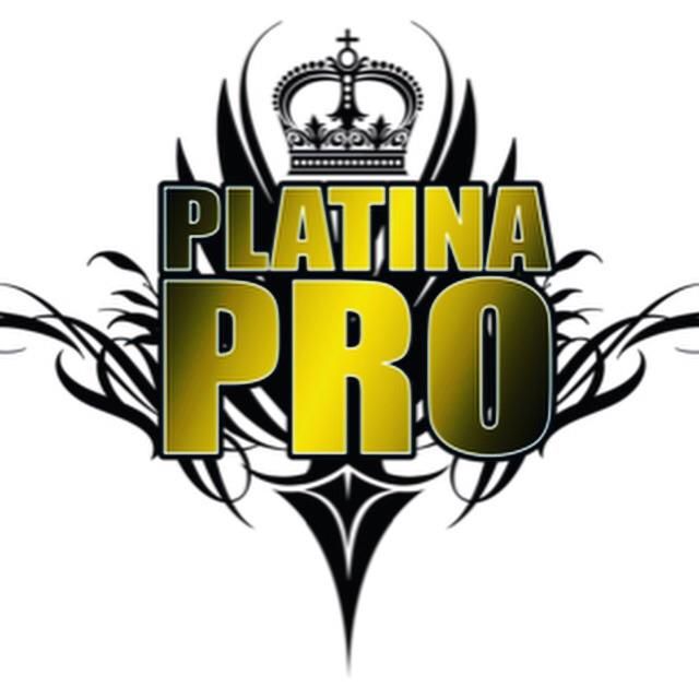 Platina  Productions Inc