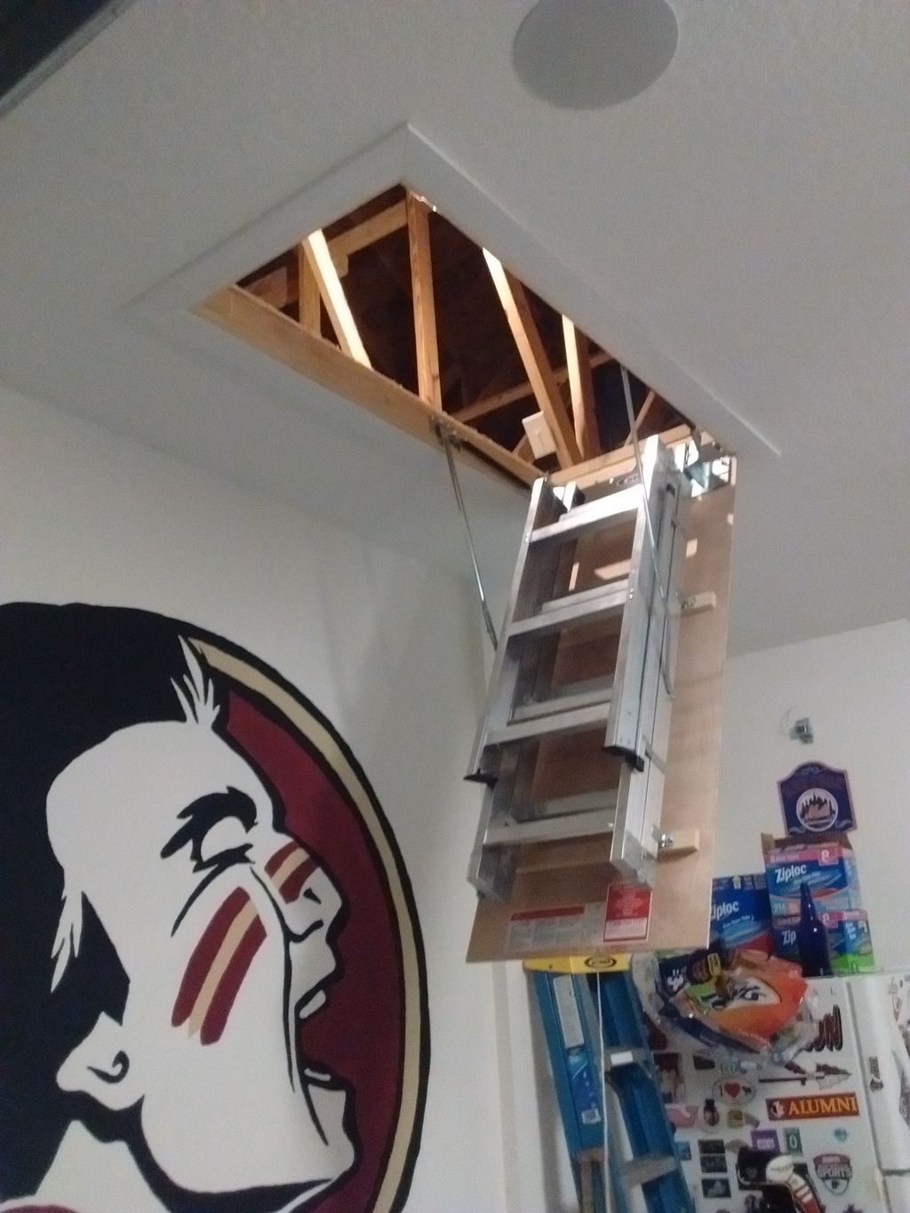Attic Ladder Installation
