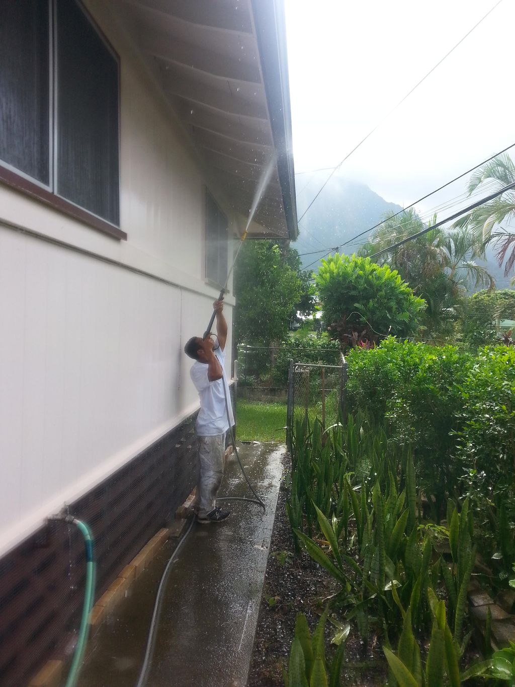 Mildew Wash / Pressure Wash