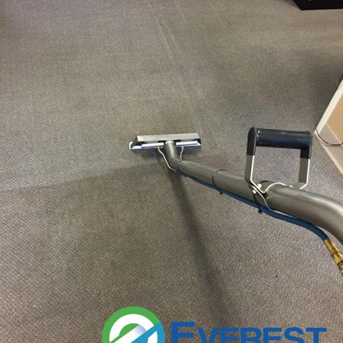 We also do commercial carpet cleaning.