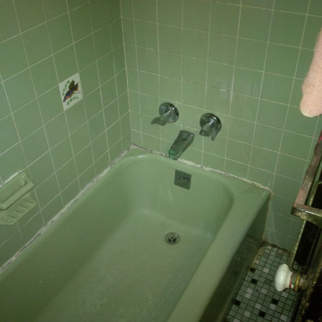 Shower After Cleaning