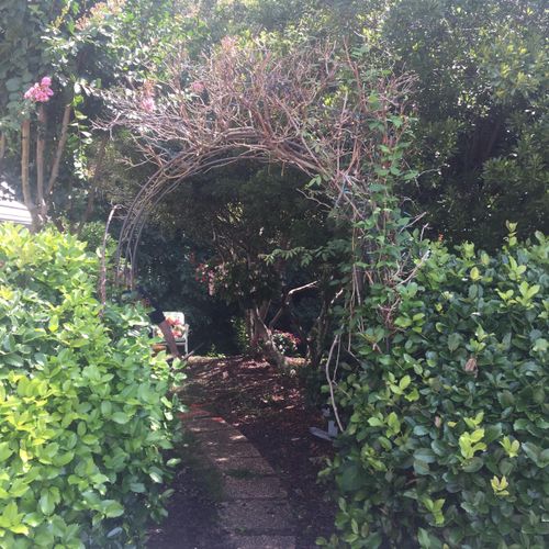 Old Arbor, untrimmed bushes, and old stepping ston